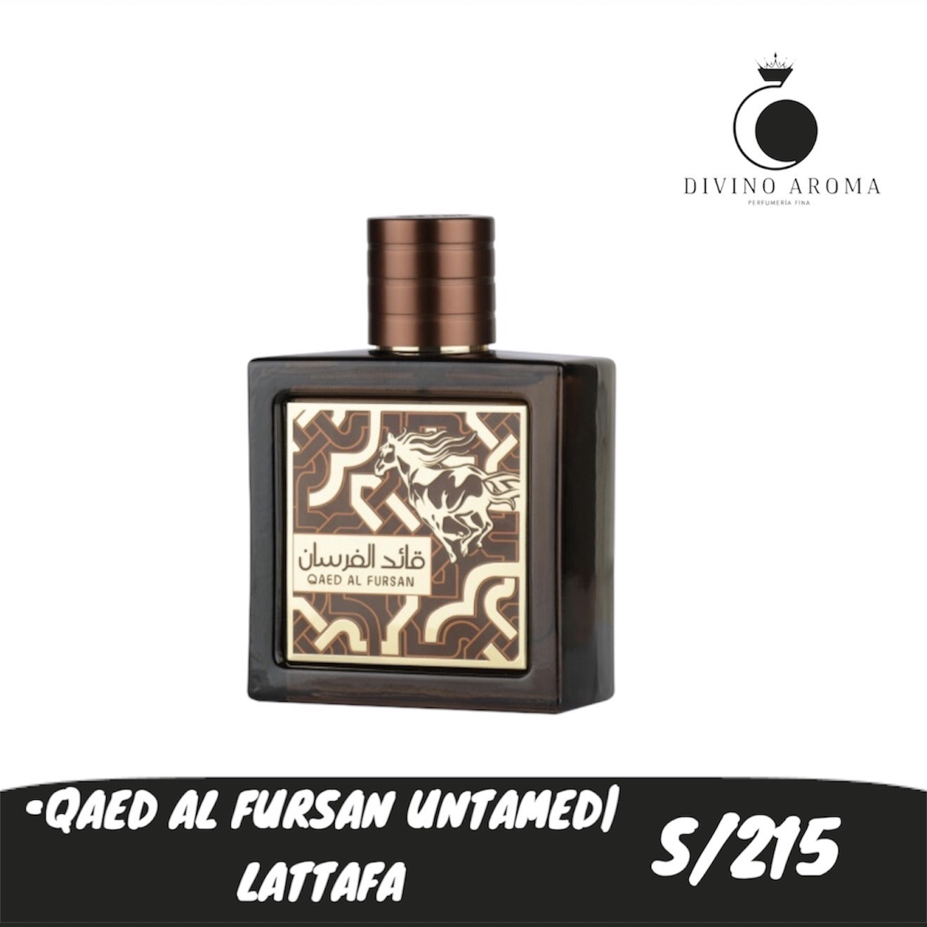 Qaed Al Fursan Untamed